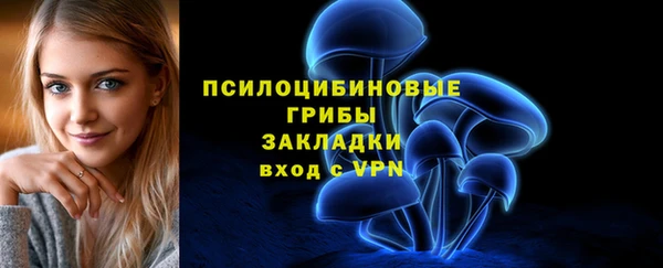 индика Лабытнанги