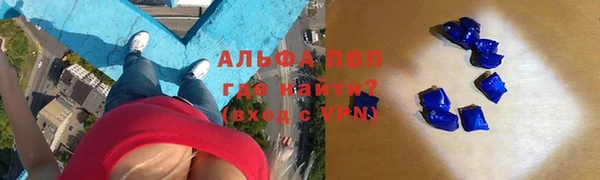 индика Лабытнанги