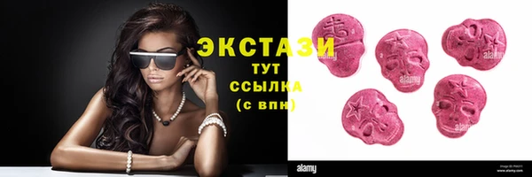 индика Лабытнанги