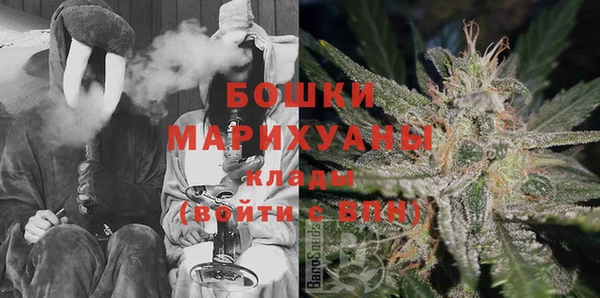 бошки Ладушкин
