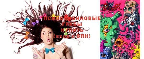 бошки Ладушкин