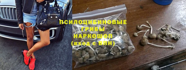 индика Лабытнанги