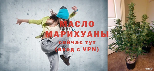 индика Лабытнанги