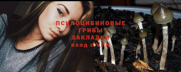 индика Лабытнанги
