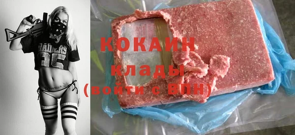 индика Лабытнанги