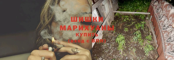 индика Лабытнанги