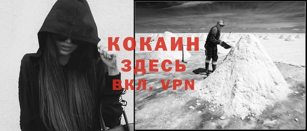бошки Ладушкин